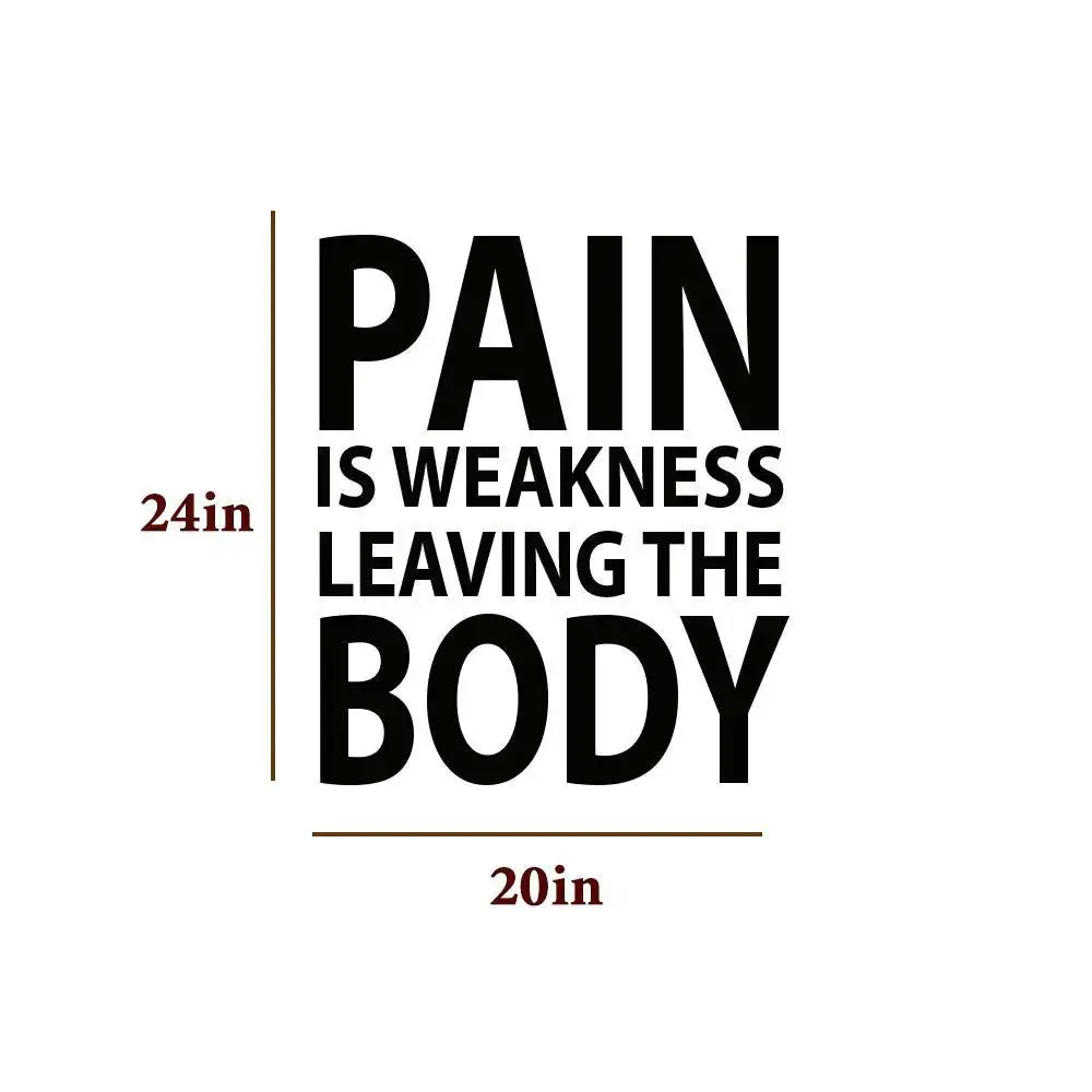 Fitness Gym Wall Sticker And Wall Decal