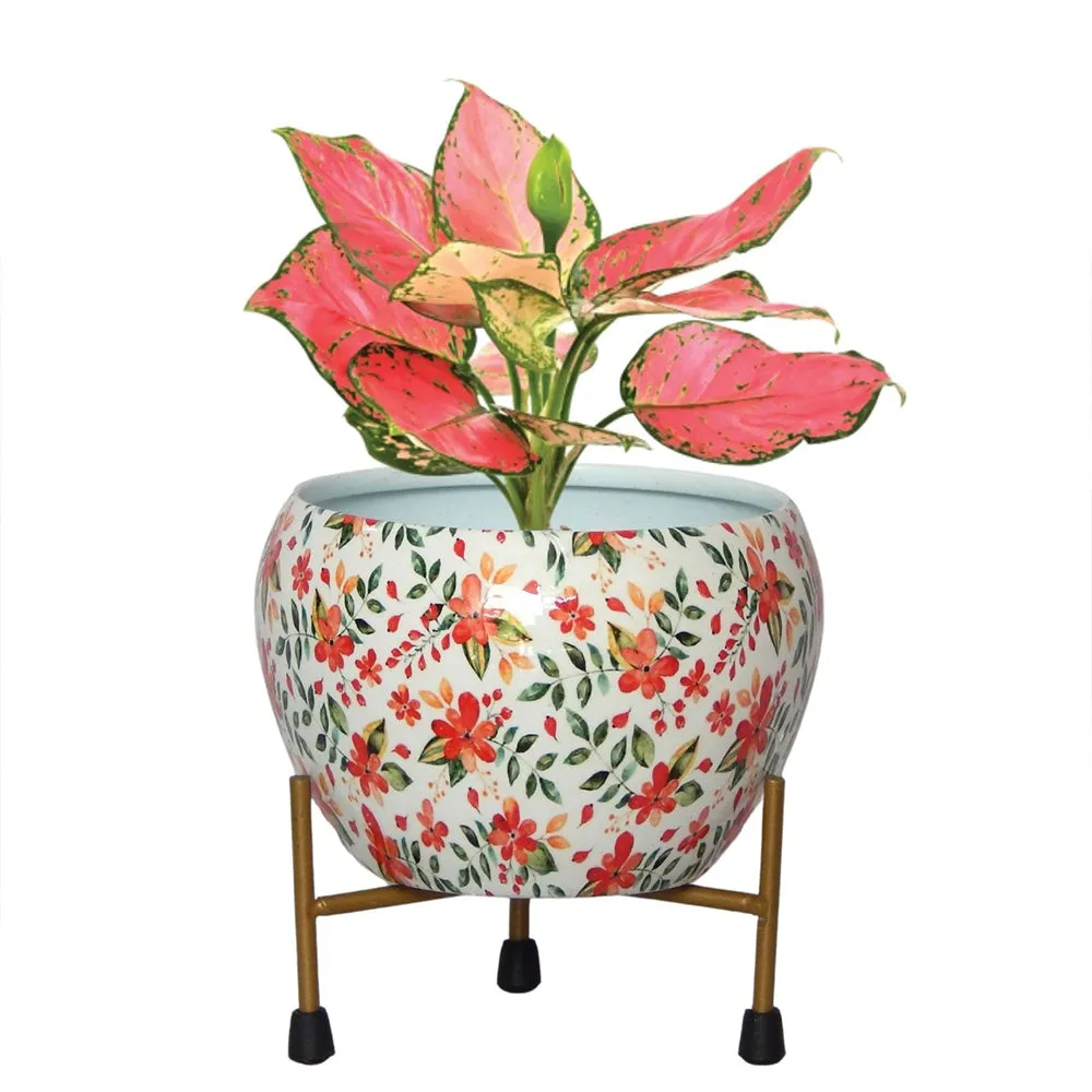 Floral Vine Printed Superior-quality Indoor Metal Plant Stand with Pot Single Piece