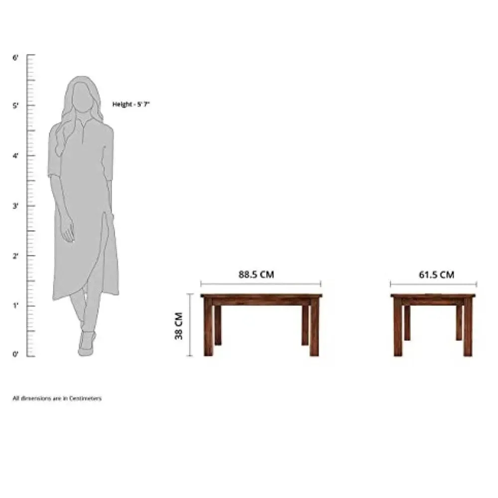 Focal Point Brown Colored Sheesham Wood Center Table