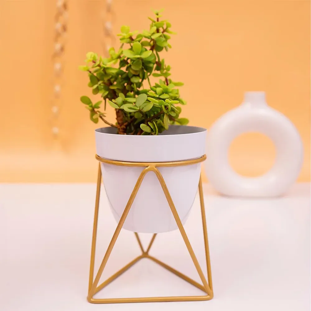 Frosty White and Gold Resilient Metal Plant Pot Single Piece