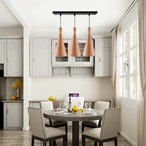 Funnel Designer Contemporary Hanging Lights (Bulb not included)