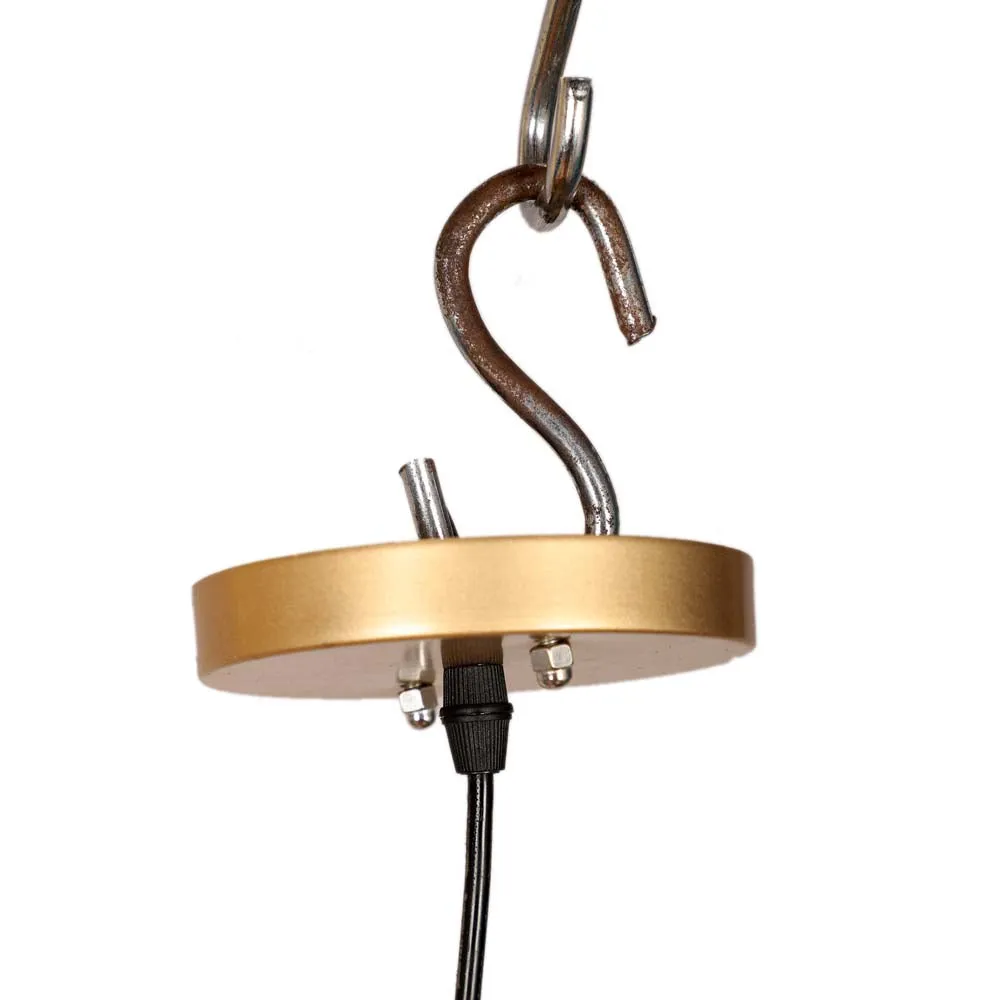 Globe In Golden Ring Decorative Hanging Light Single Piece