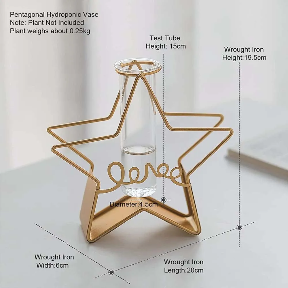 Glossy Pentagonal Glass Vase Single Piece