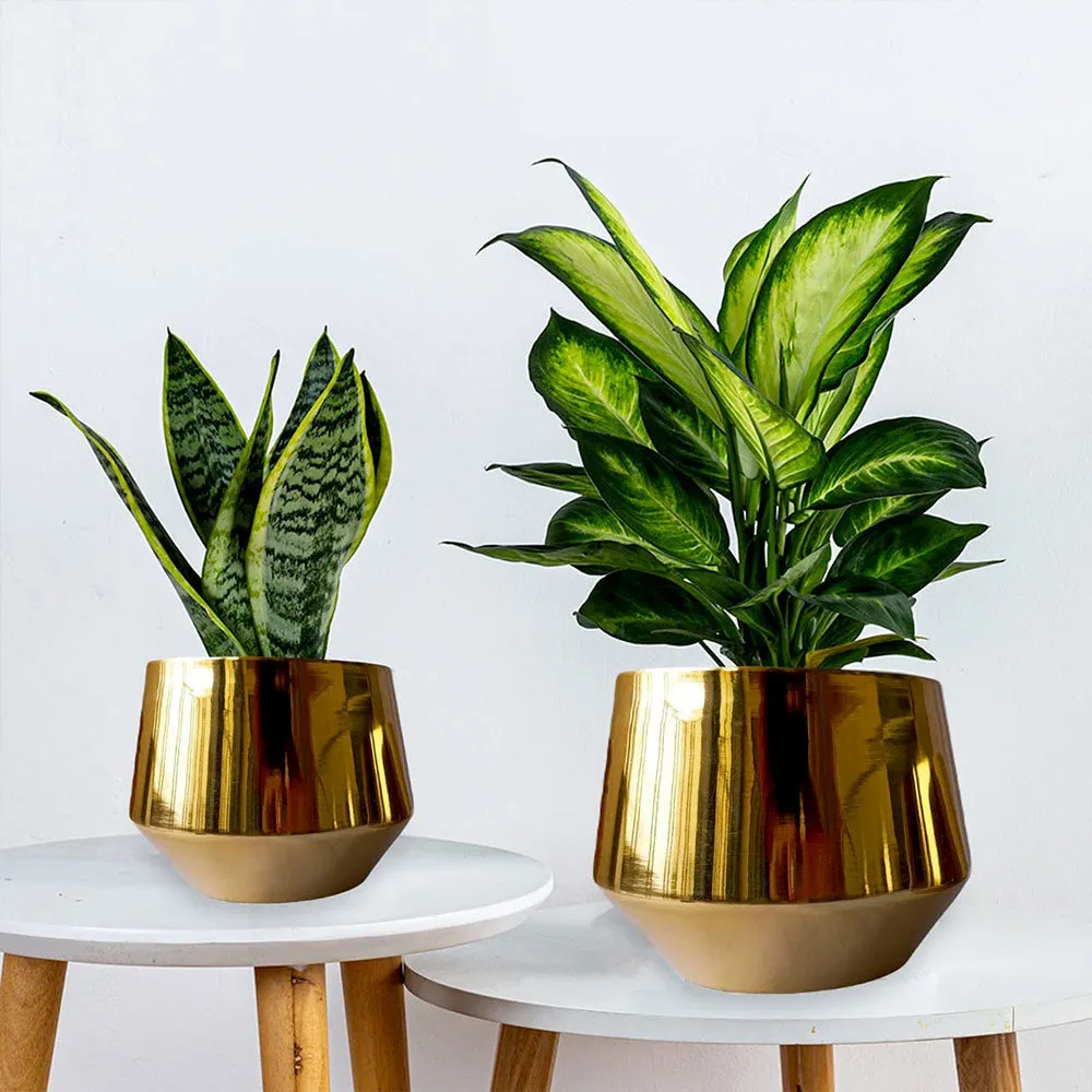 Gold Shine Dual Metal Plant Pot Set Of 2