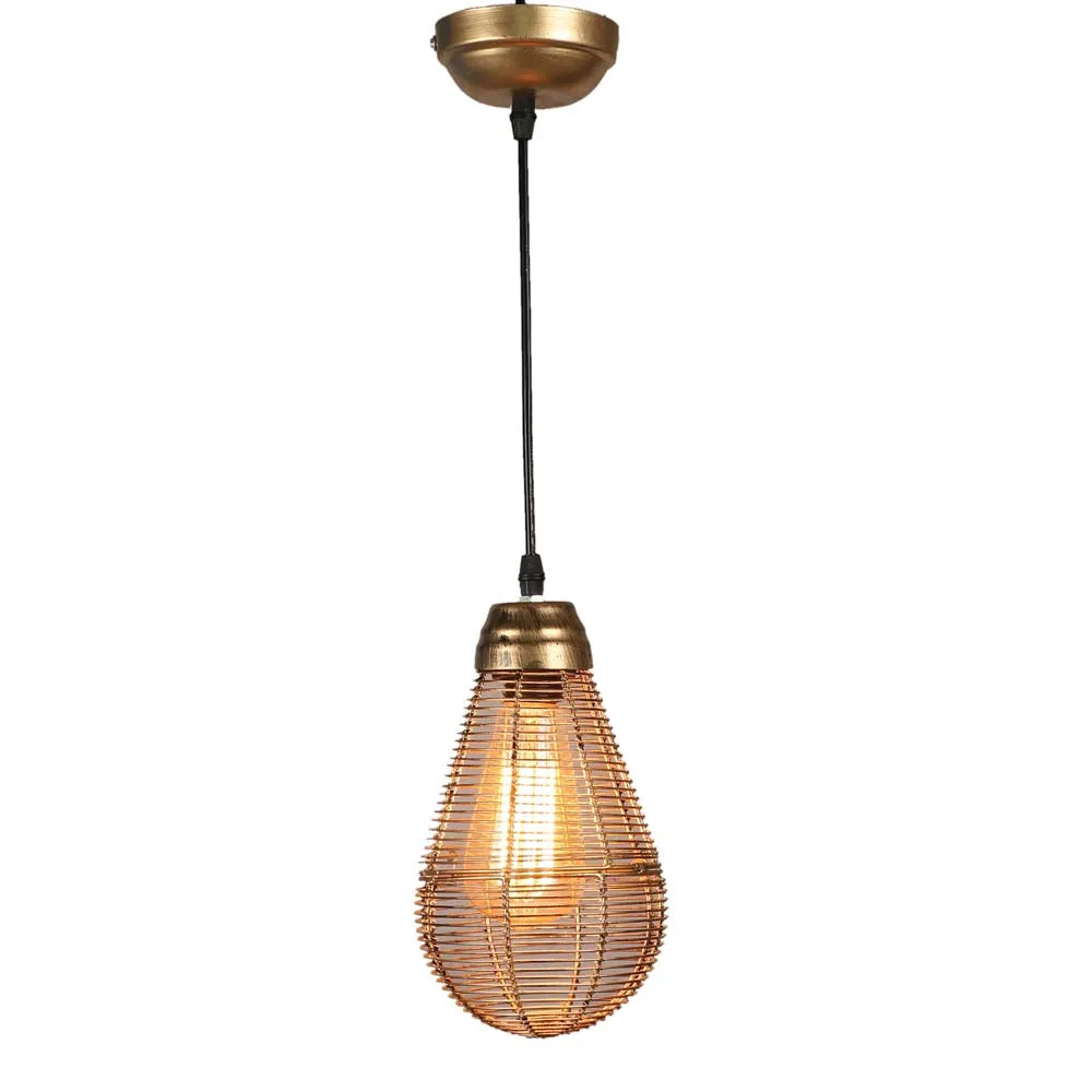 Golden Caged Focus Metal Hanging Light