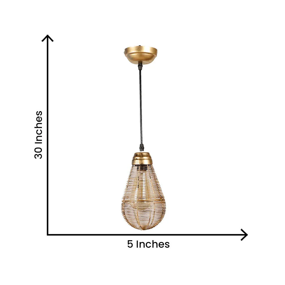 Golden Caged Focus Metal Hanging Light