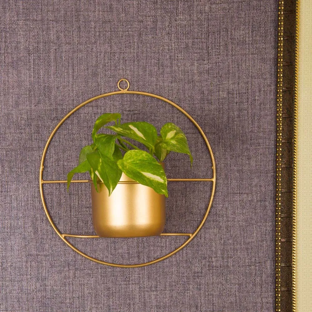 Golden Glow Solid Metal Round Wall Mounted Planter