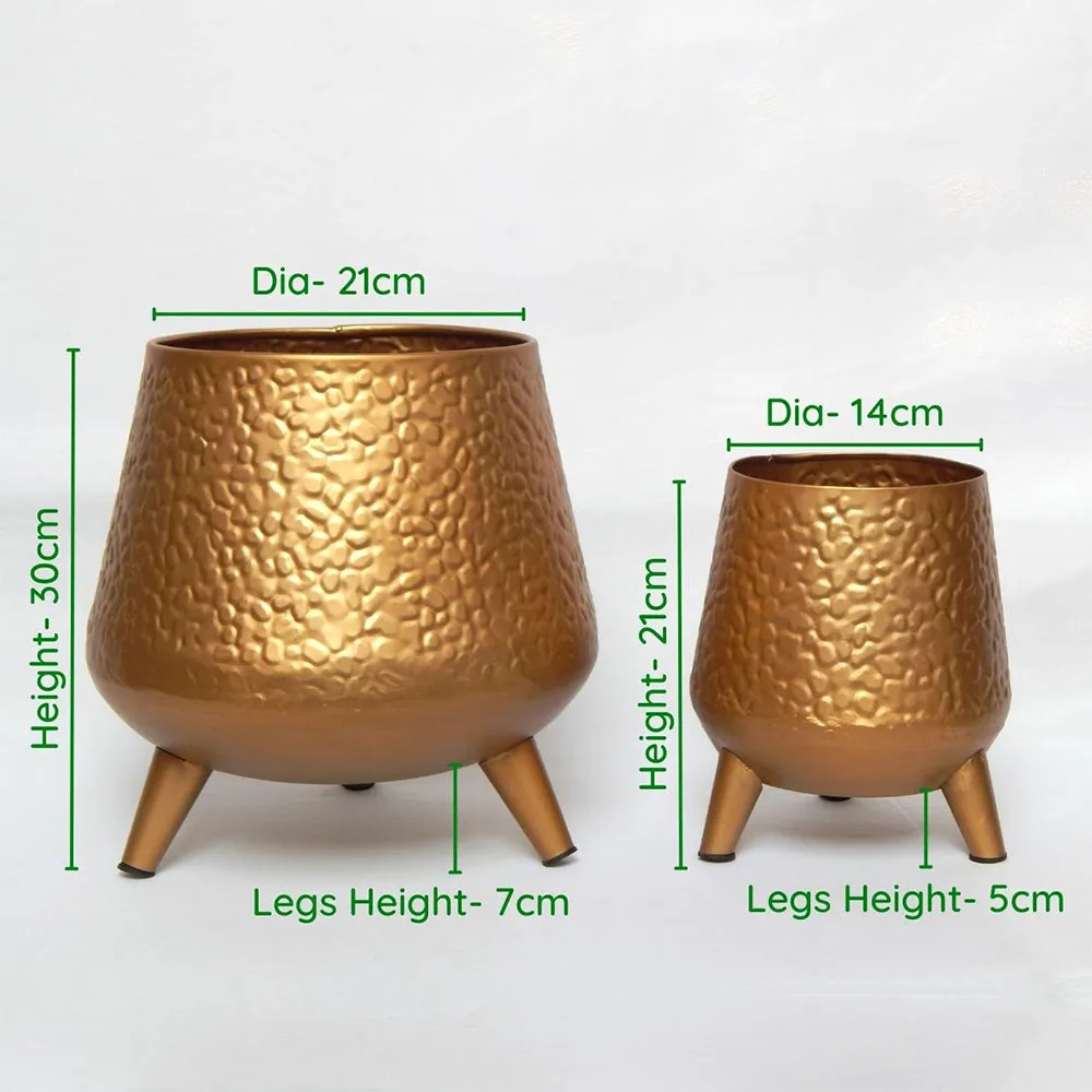 Golden Hand-hammered Set of 2 Indoor Metal Plant Stand with Pot