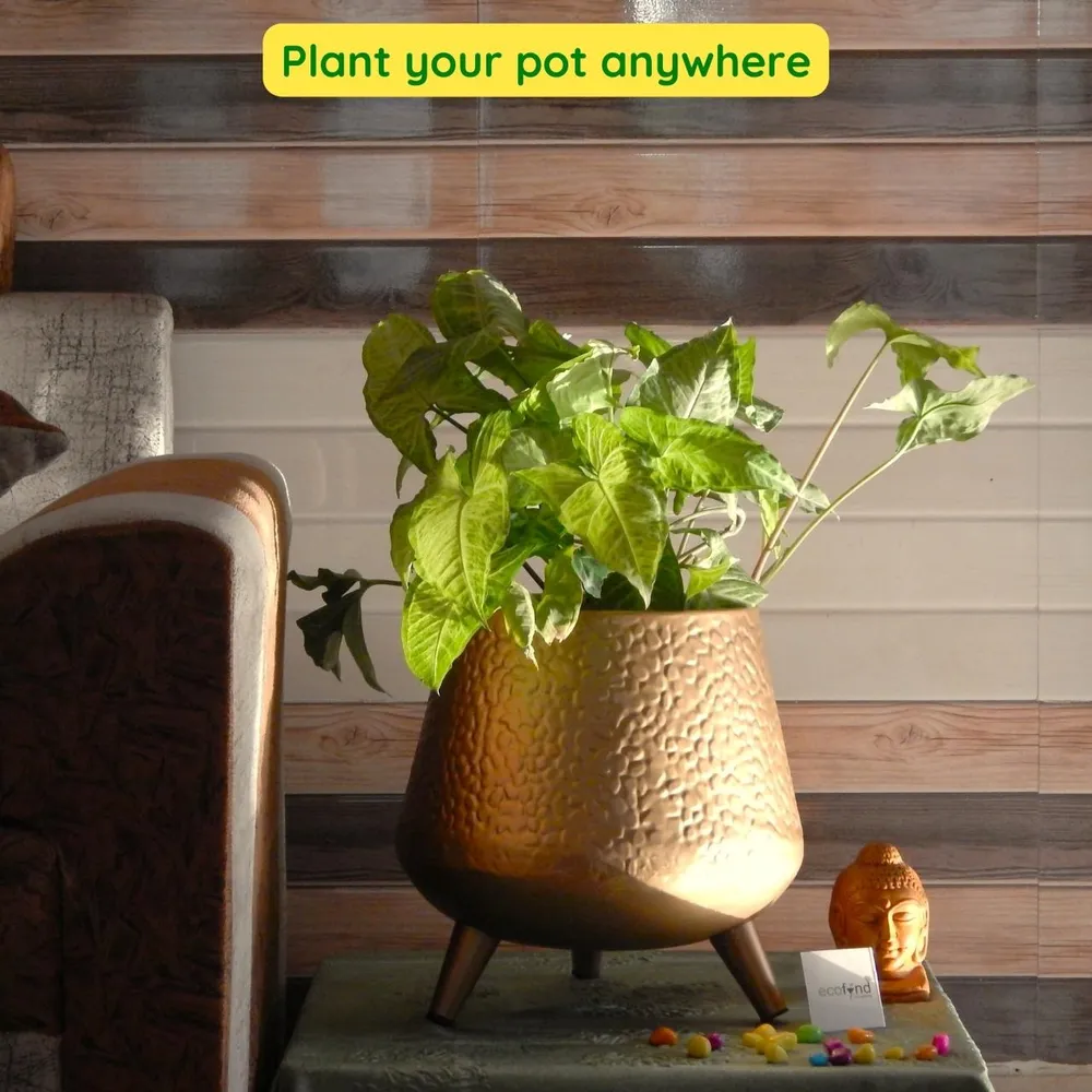 Golden Hand-hammered Set of 2 Indoor Metal Plant Stand with Pot