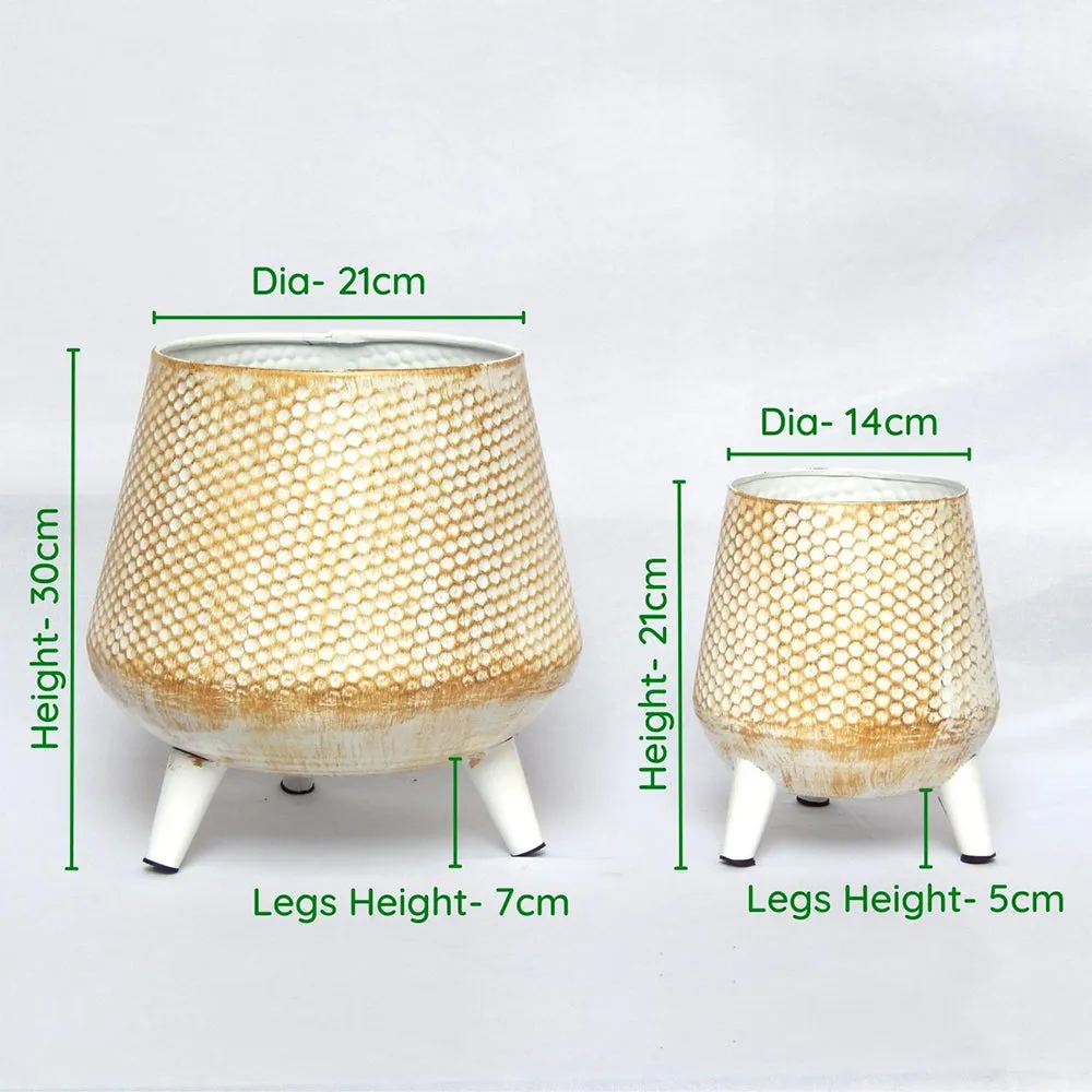 Golden Textured Set of 2 Indoor Metal Plant Stand with Pot