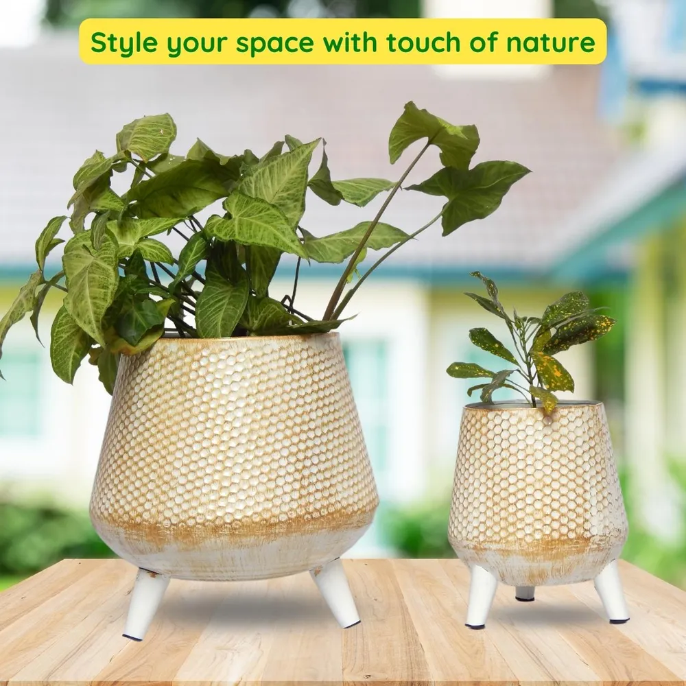 Golden Textured Set of 2 Indoor Metal Plant Stand with Pot