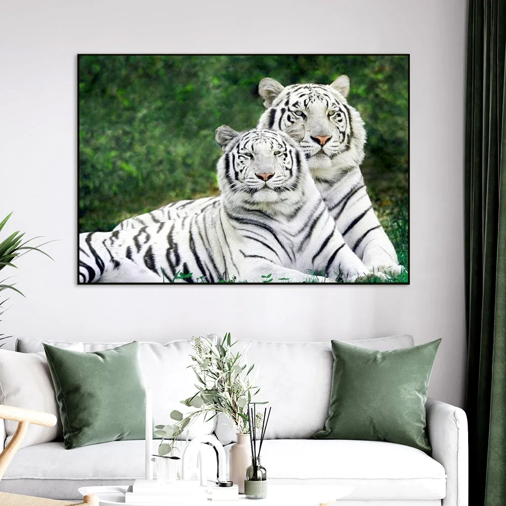 Gorgeous White Tiger Couple Wildlife Painting for Living Room With Floating Frame