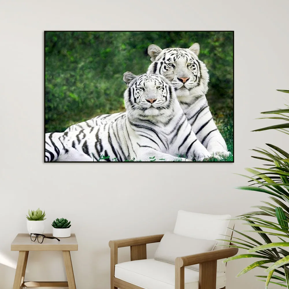 Gorgeous White Tiger Couple Wildlife Painting for Living Room With Floating Frame