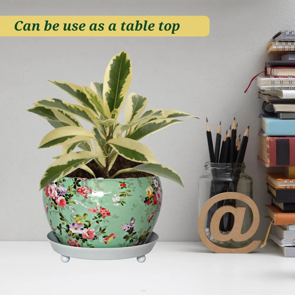 Handcrafted Multicolour Indoor Metal Plant Pot with Saucer Plate (Set of 2)