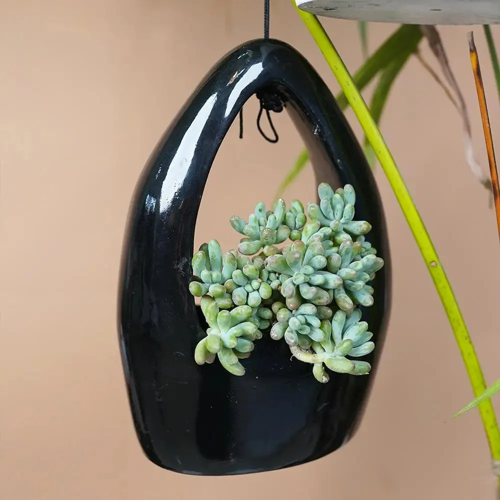 Hanging Nest Planter Flower Pot for Home Decor Set of 2