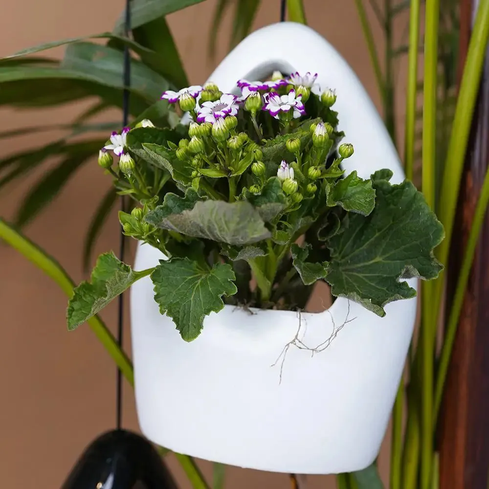Hanging Nest Planter Flower Pot for Home Decor Set of 2