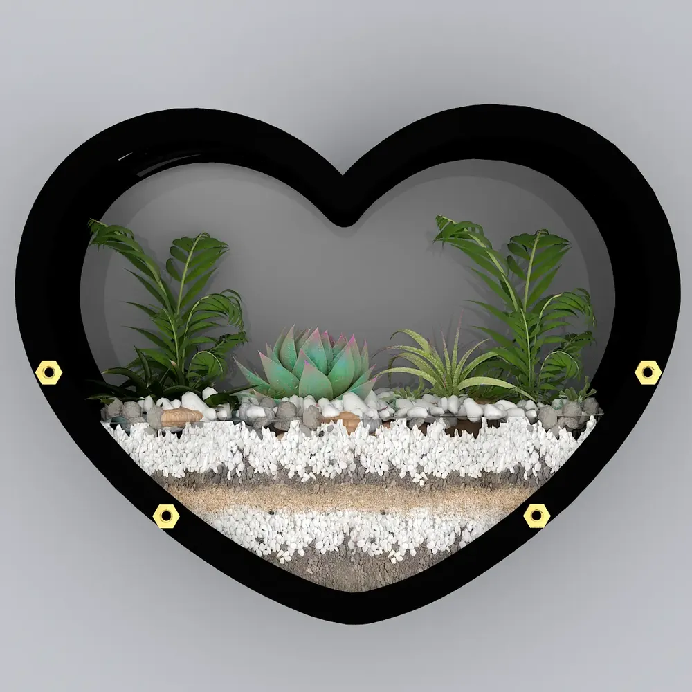 Heart Shaped Transparent Wall Terrarium
