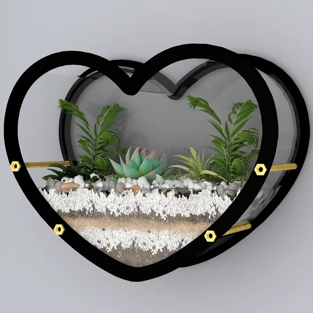 Heart Shaped Transparent Wall Terrarium
