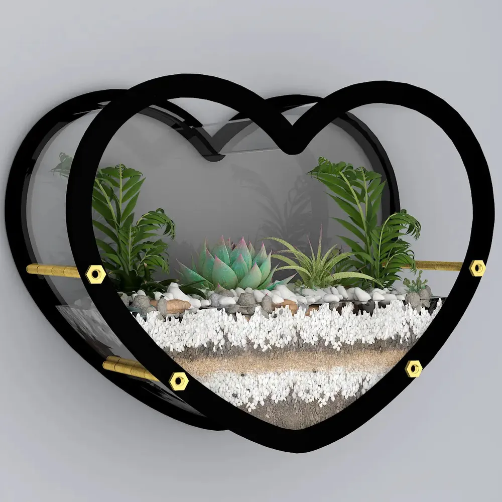 Heart Shaped Transparent Wall Terrarium