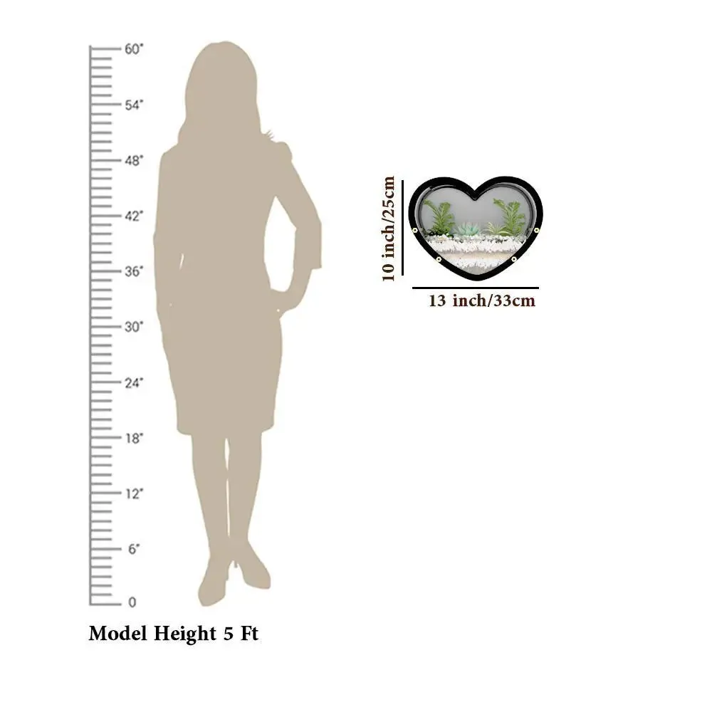 Heart Shaped Transparent Wall Terrarium