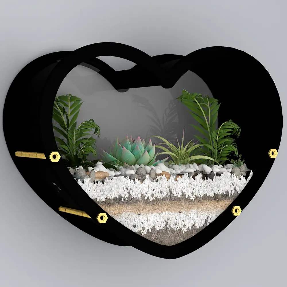 Heart Shaped Transparent Wall Terrarium