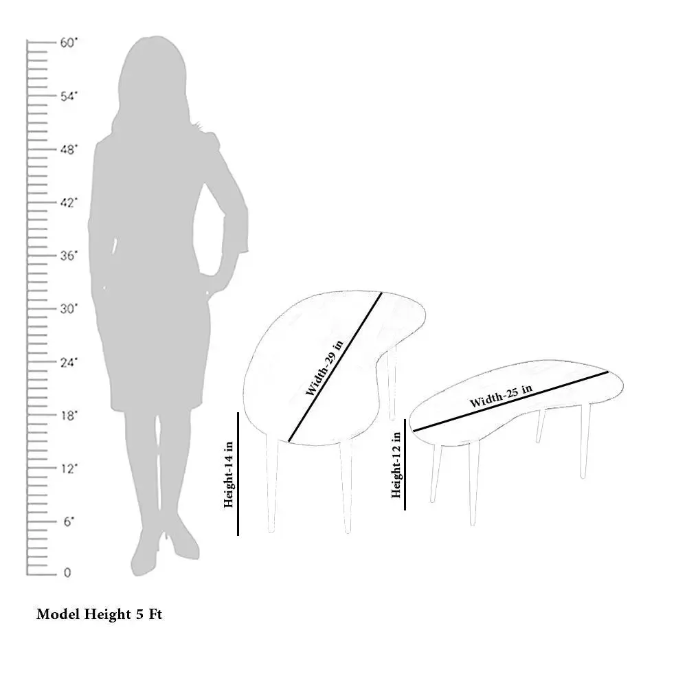 High-Quality Sheesham Wood Nesting Tables with Metal Base - Set of 2
