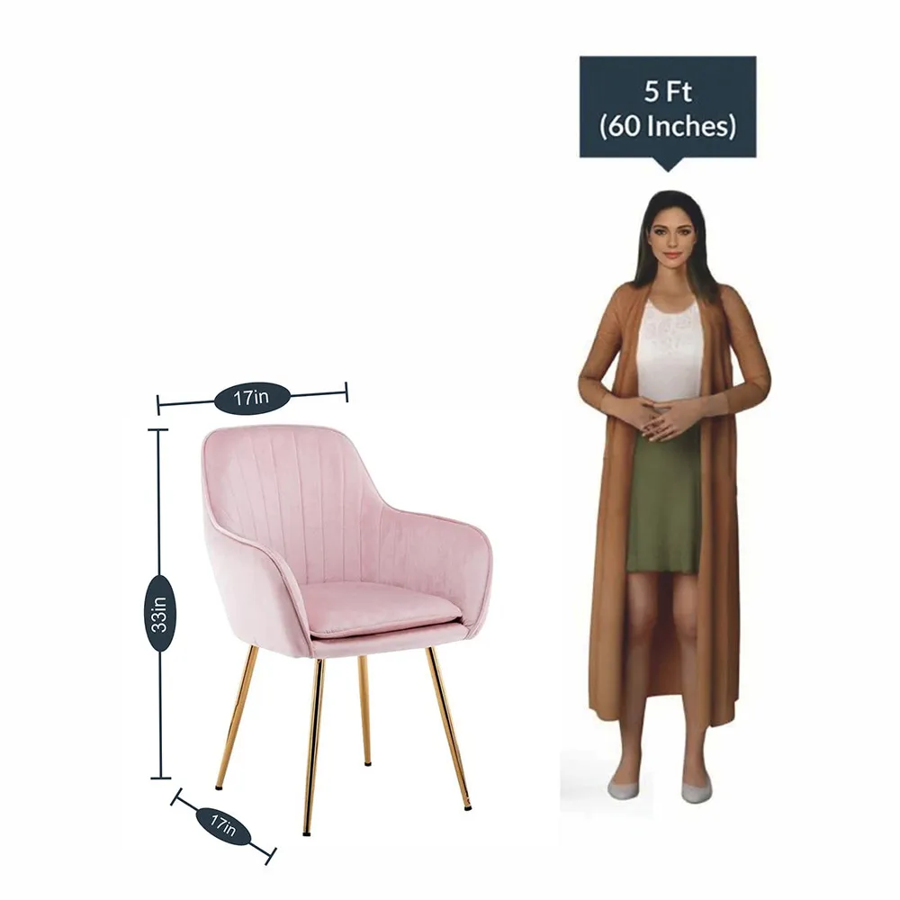 High Tufted Back Luxury Baby Pink Lounge Chair Single chair