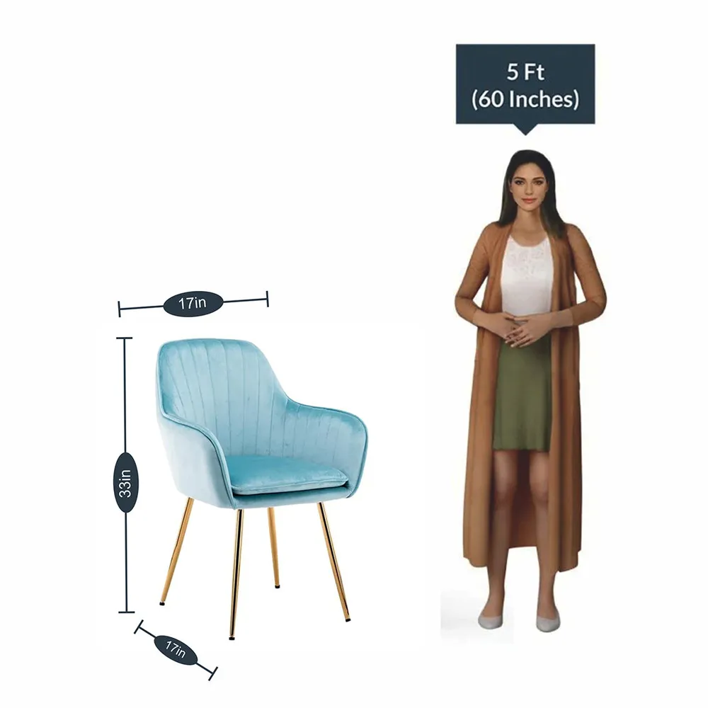 High Tufted Back Luxury Sky Blue Lounge Chair Single chair