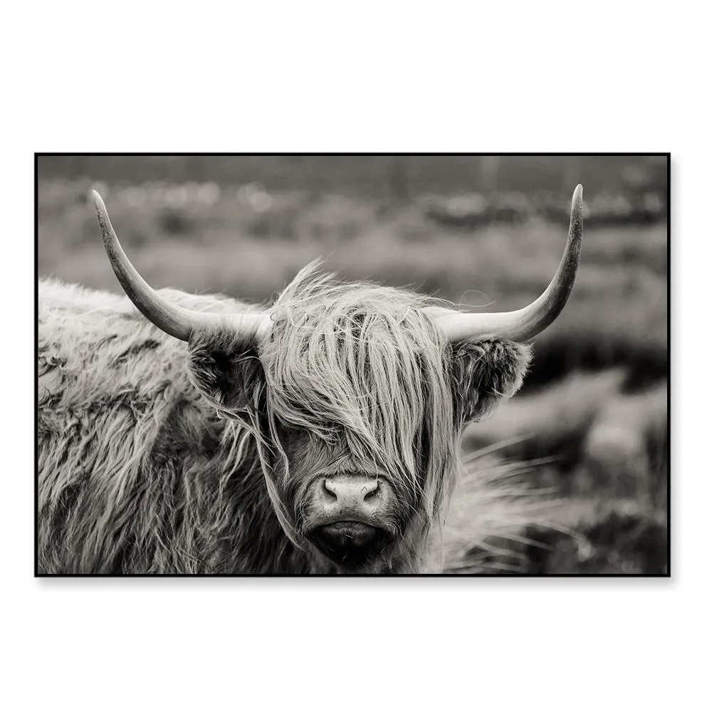 Highland Cow Framed Wall Art