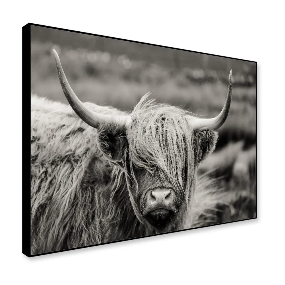 Highland Cow Framed Wall Art