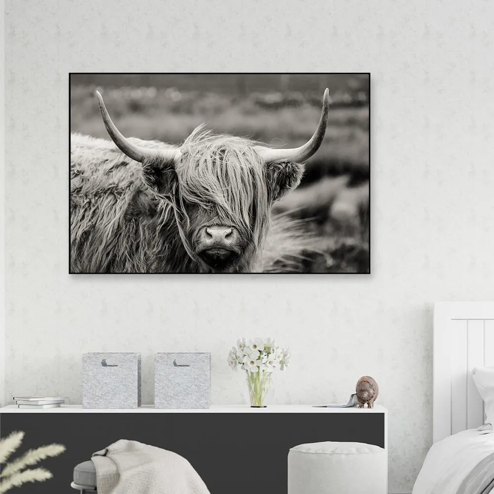 Highland Cow Framed Wall Art