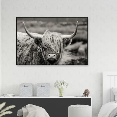 Highland Cow Framed Wall Art