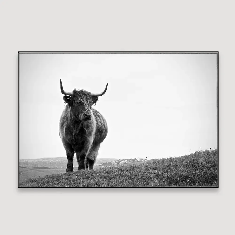 Highland Cow Photography Framed Wall Art With Floating Frame