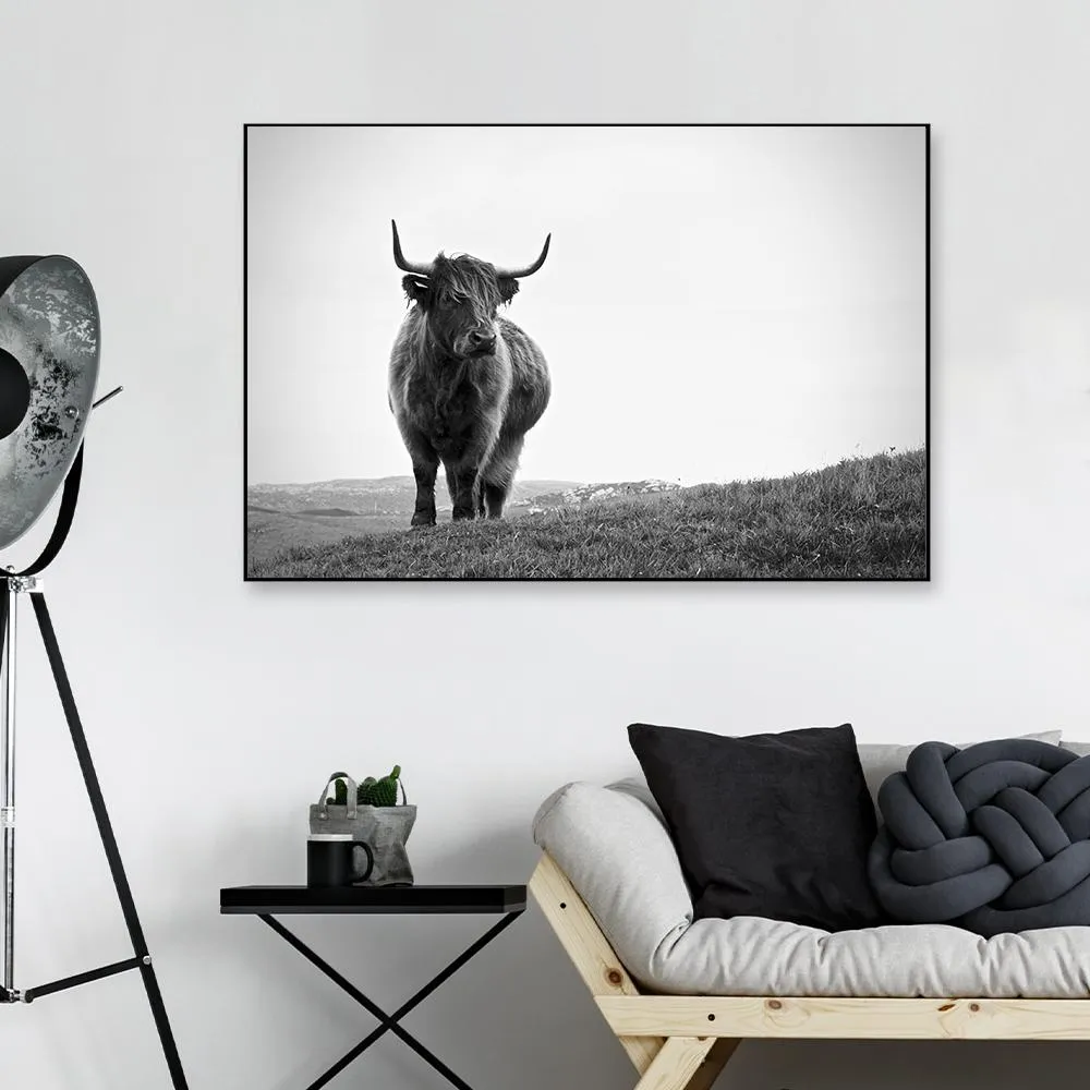 Highland Cow Photography Framed Wall Art With Floating Frame
