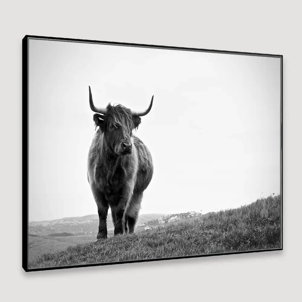 Highland Cow Photography Framed Wall Art With Floating Frame