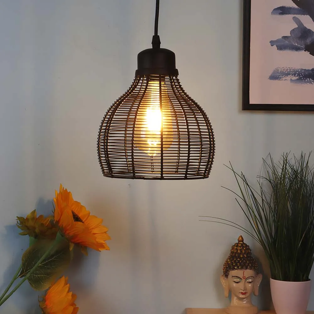 Inverted Cage Designer Focus Hanging Light