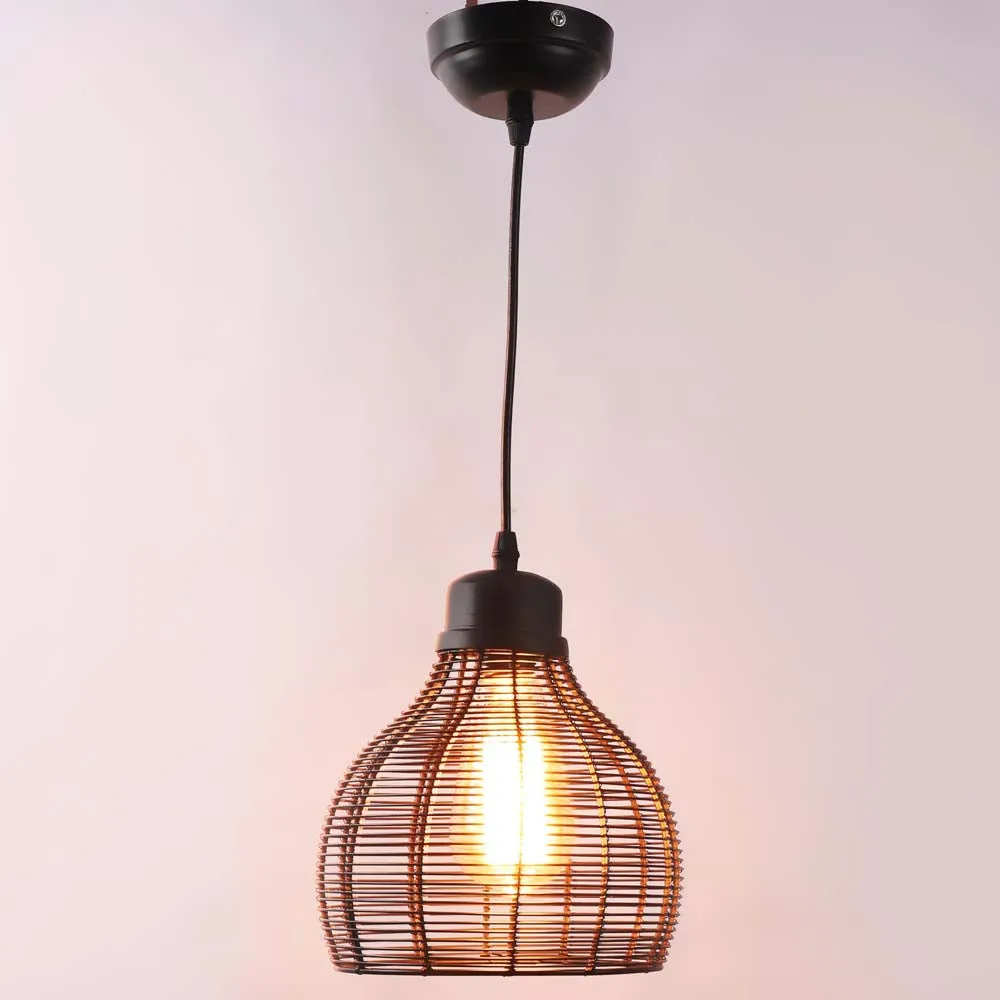 Inverted Cage Designer Focus Hanging Light