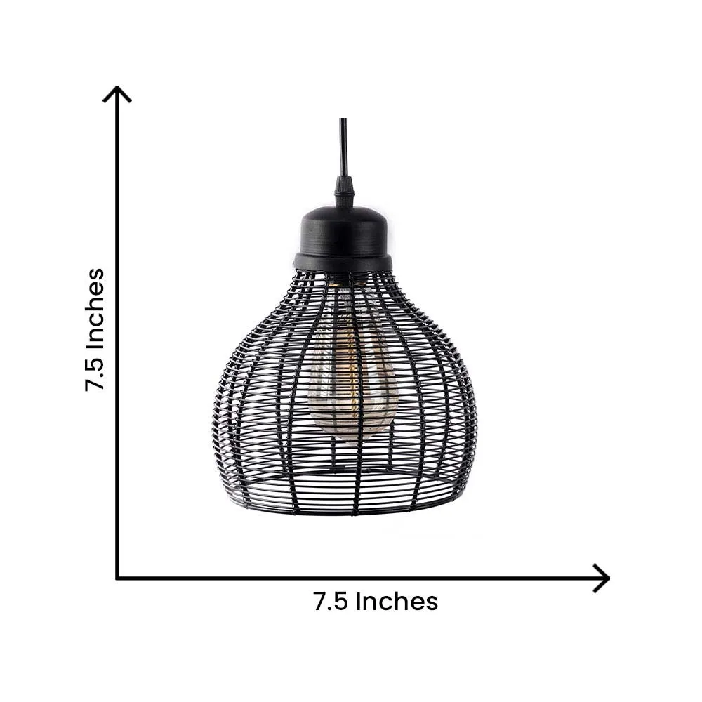 Inverted Cage Designer Focus Hanging Light