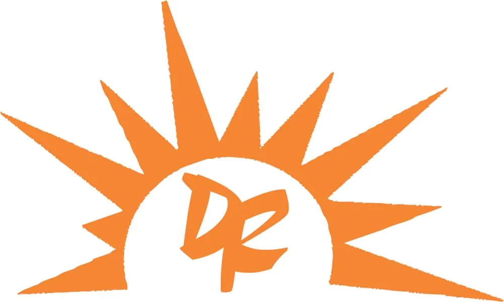 Inverted Cage Designer Focus Hanging Light