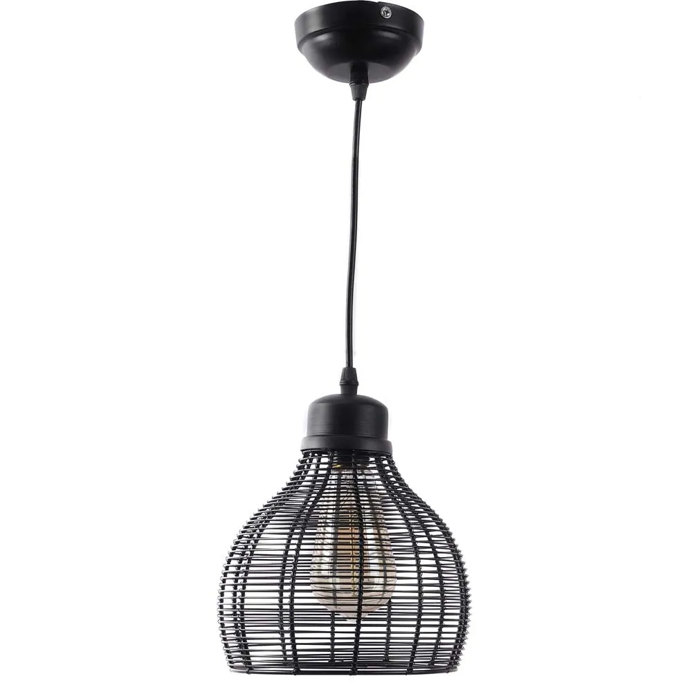 Inverted Cage Designer Focus Hanging Light