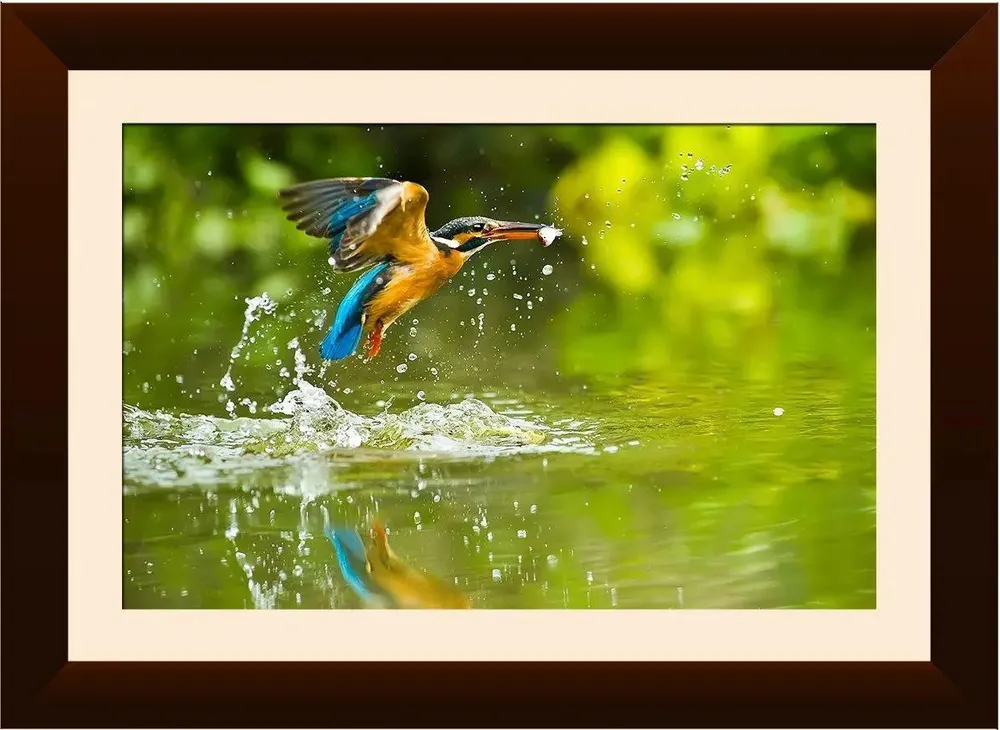 Kingfisher Bird Framed Wall Painting Synthetic Wooden Wall Hanging with Clear Acrylic Glass