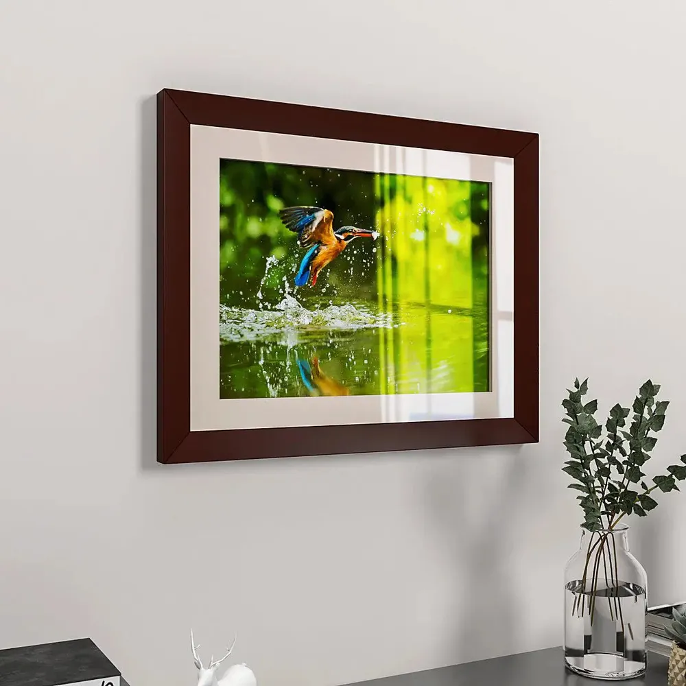Kingfisher Bird Framed Wall Painting Synthetic Wooden Wall Hanging with Clear Acrylic Glass