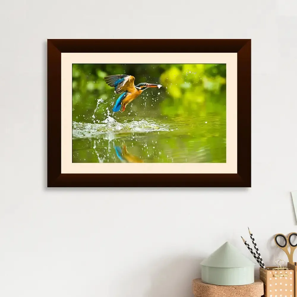 Kingfisher Bird Framed Wall Painting Synthetic Wooden Wall Hanging with Clear Acrylic Glass