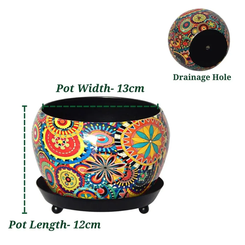 Lily Designer Metal Plant Pot with Plate