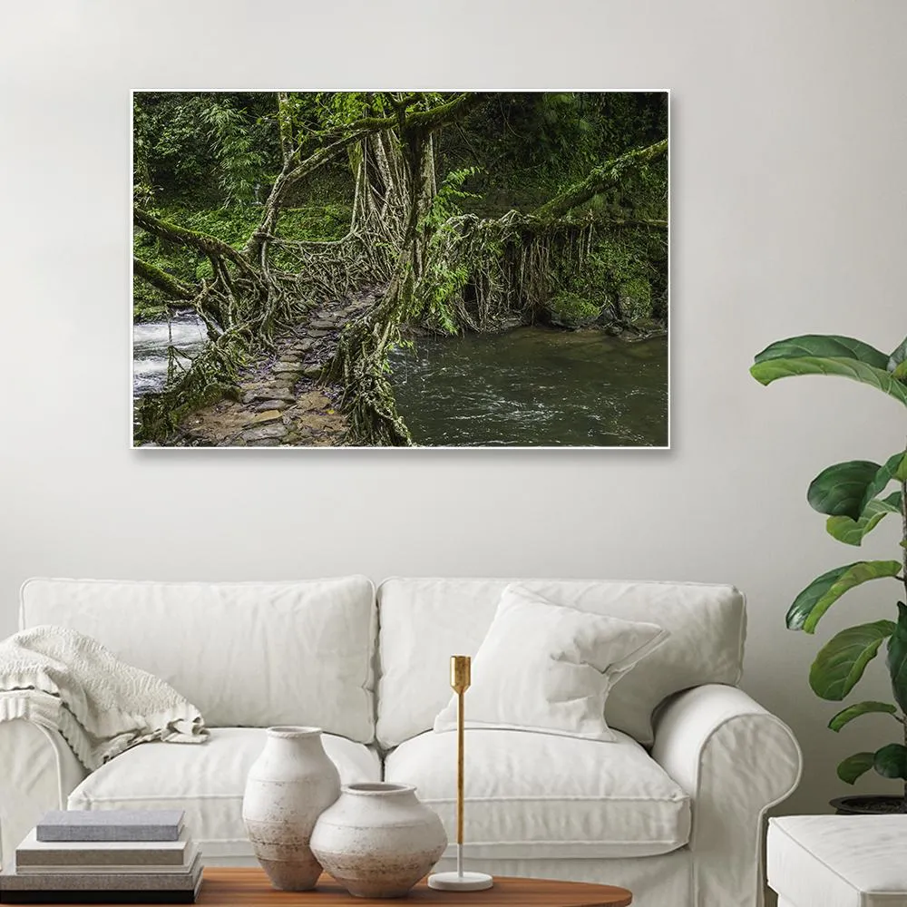 Living Roots Bridge Framed Wall art With Floating Frame