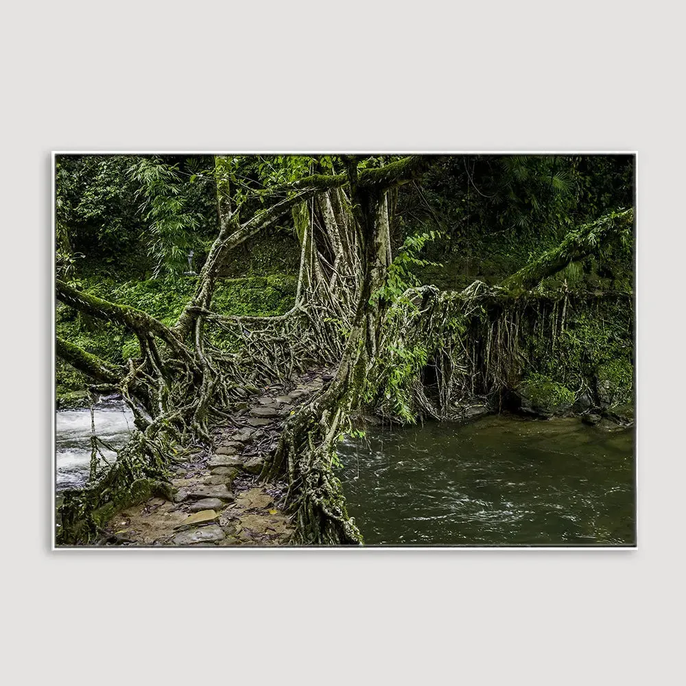 Living Roots Bridge Framed Wall art With Floating Frame