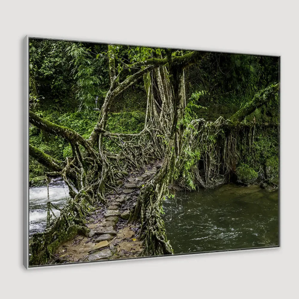 Living Roots Bridge Framed Wall art With Floating Frame
