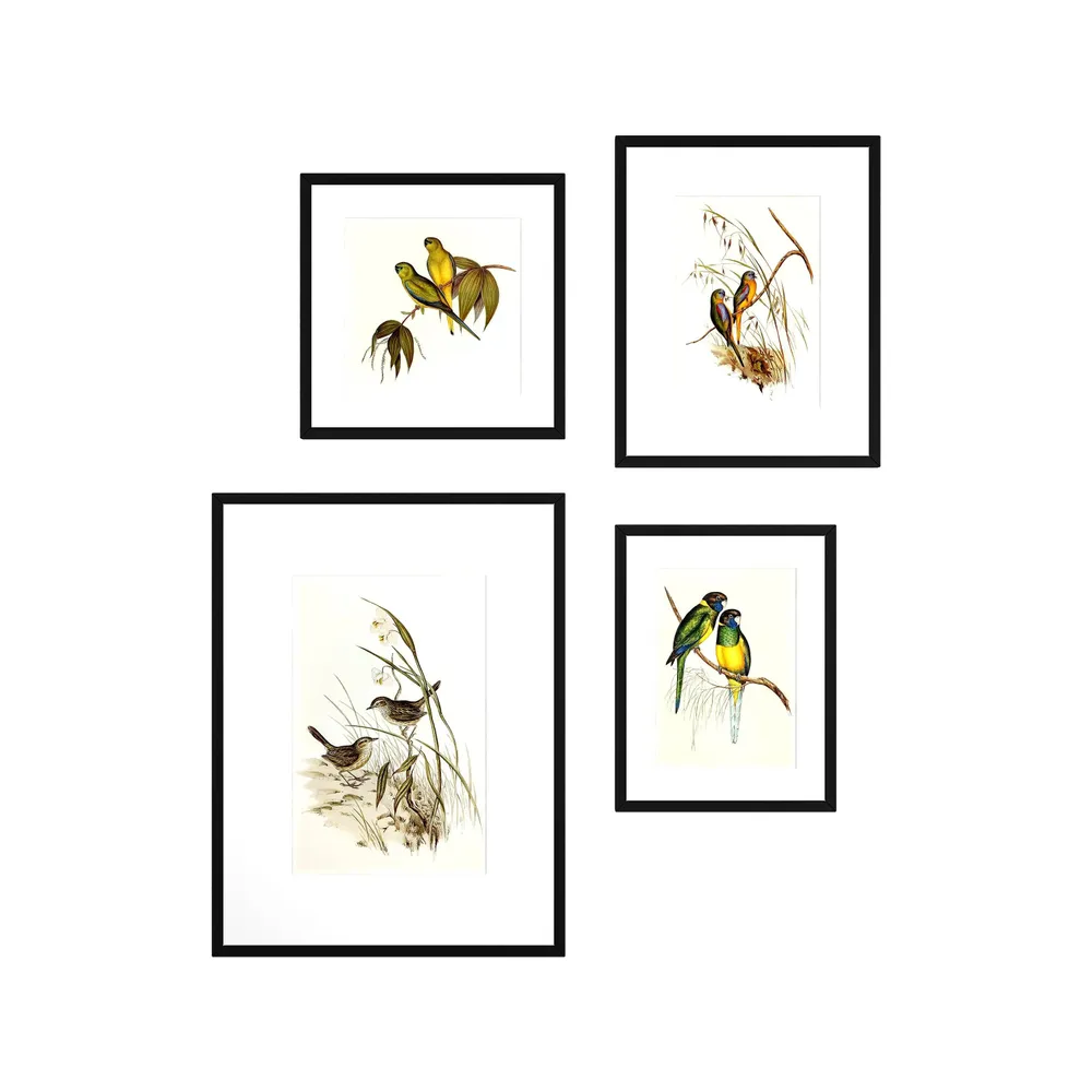 Love Birds Framed Wall Art Set of 4