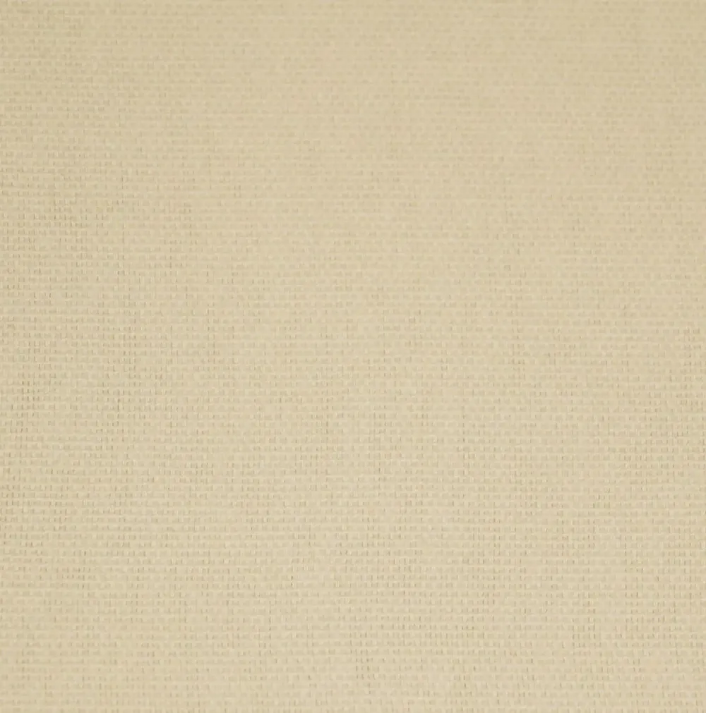 Lushomes Cream Cotton Curtains for Living Room/Home with 8 Eyelets for Long Door (Pack of 1)