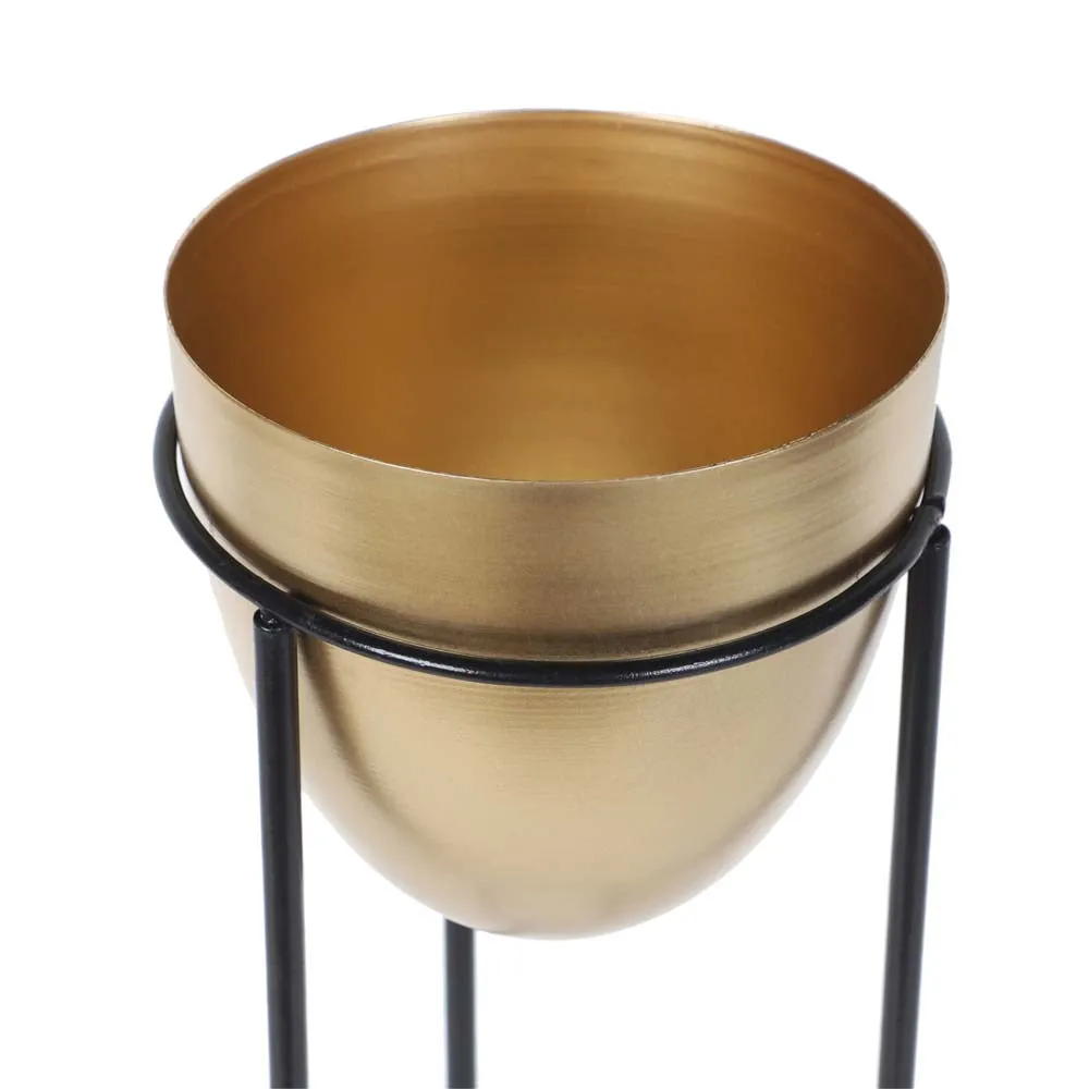 Lustrous Gold Metallic Pots (Set Of 3)
